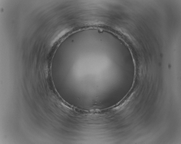 X0000067371306200604131831