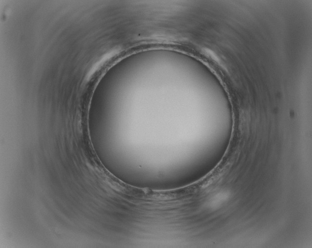 X0000067371307200604131831