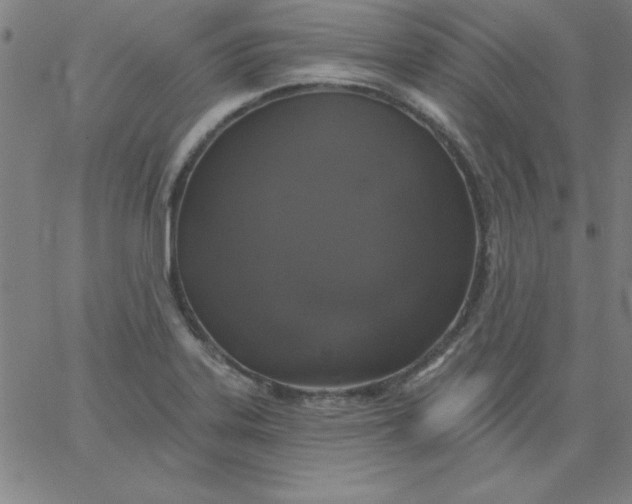 X0000067371323200604131832