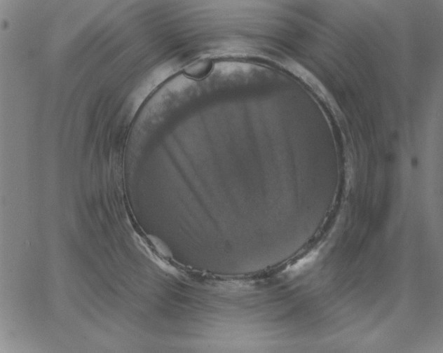 X0000067371337200604131832