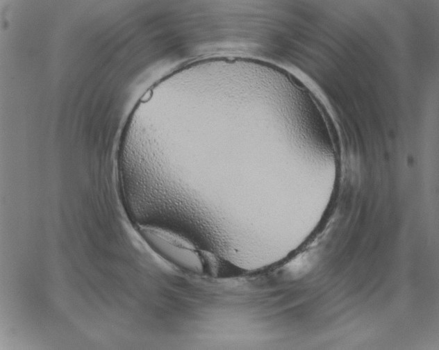 X0000067371341200604131832