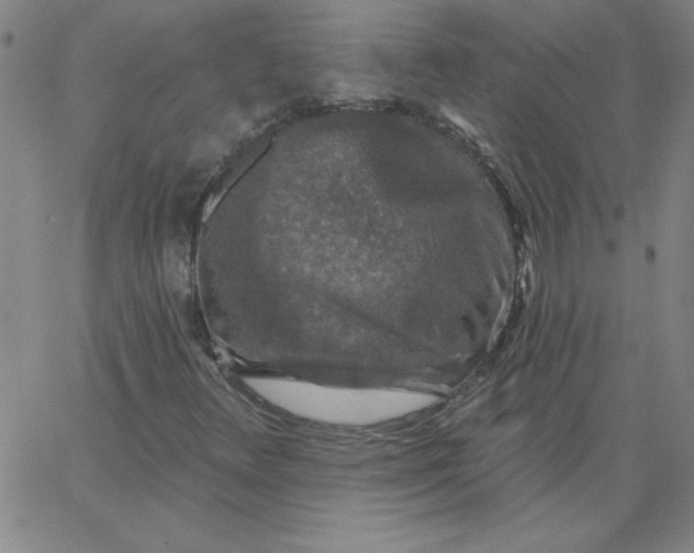 X0000067371348200604131831