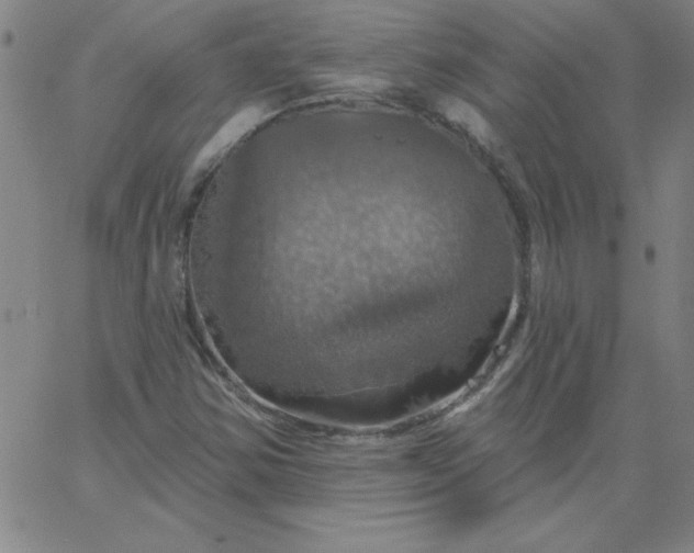 X0000067371354200604131831