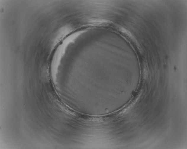 X0000067371362200604131831