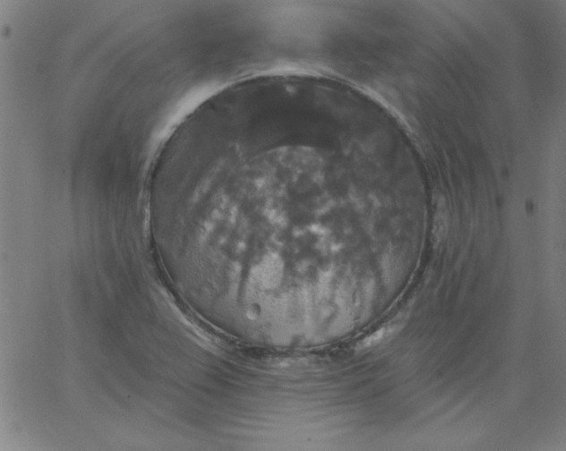 X0000067371367200604131831