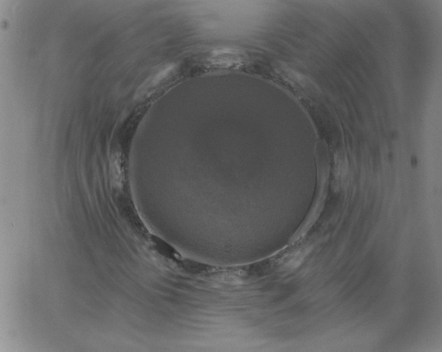 X0000067371394200604131830