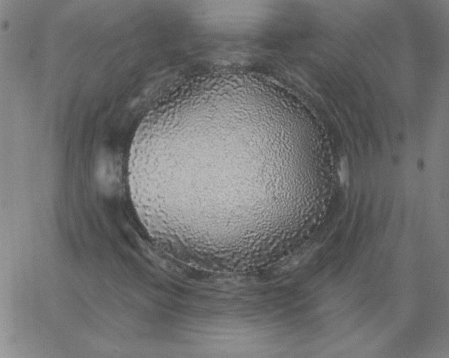 X0000067371396200604131830