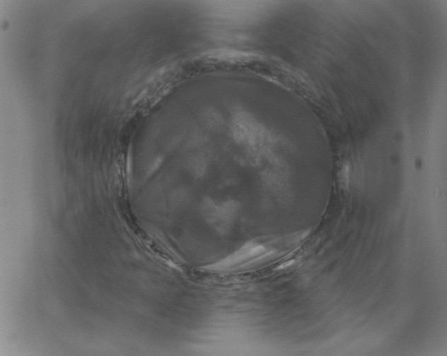 X0000067371397200604131830