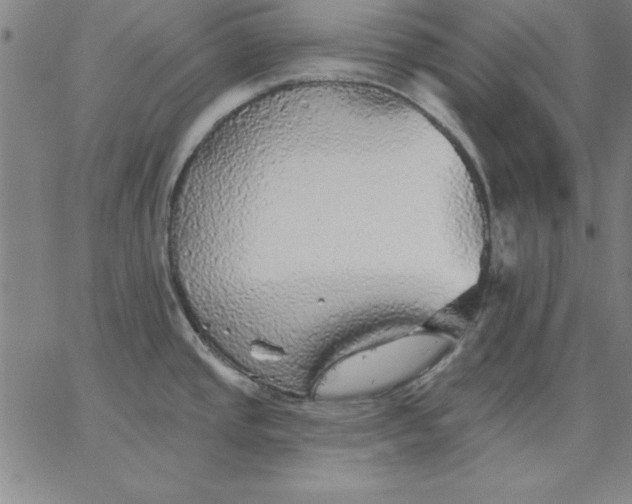 X0000067371437200604131830