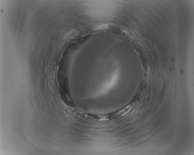 X0000067371441200604131830