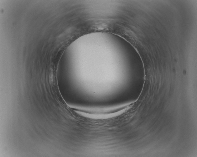 X0000067371442200604131830