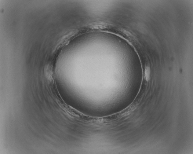 X0000067371444200604131829