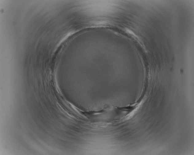 X0000067371449200604131829