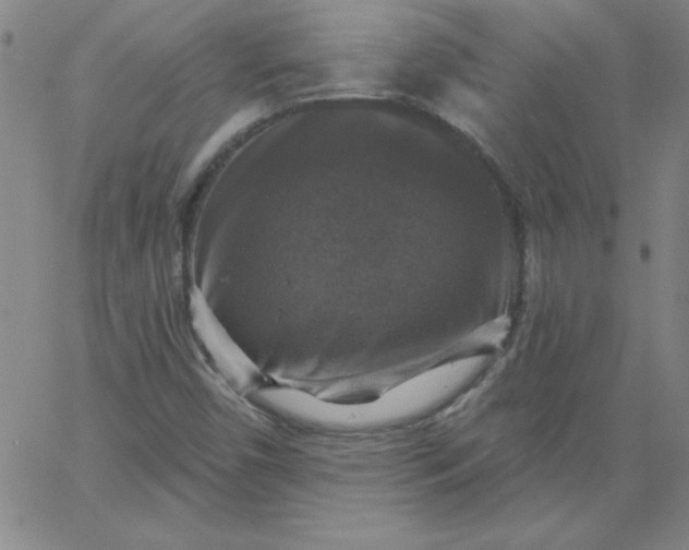 X0000067371450200604131829