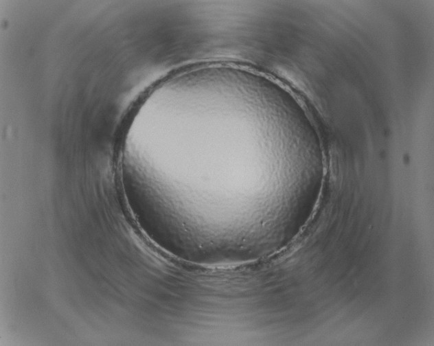 X0000067371452200604131829