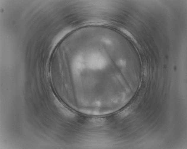 X0000067371466200604131829