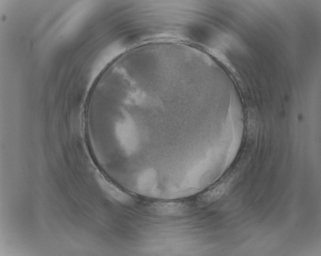 X0000067371474200604131829