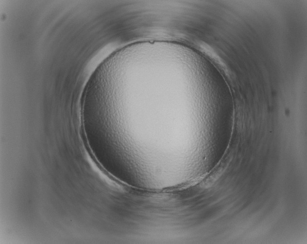 X0000067371479200604131829