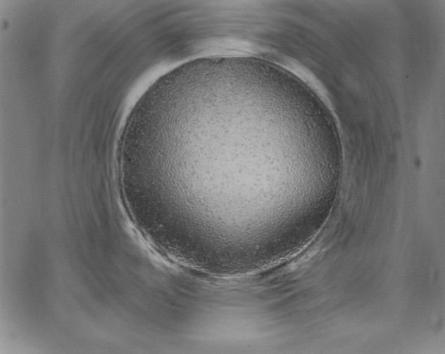 X0000067371488200604131829