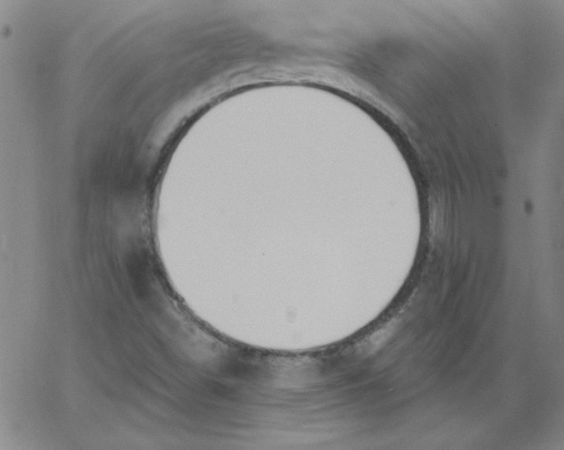 X0000067371498200604131828