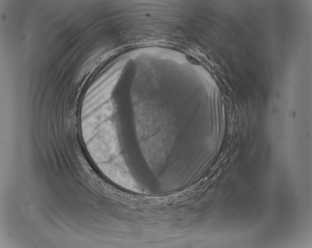 X0000067370002200604211554