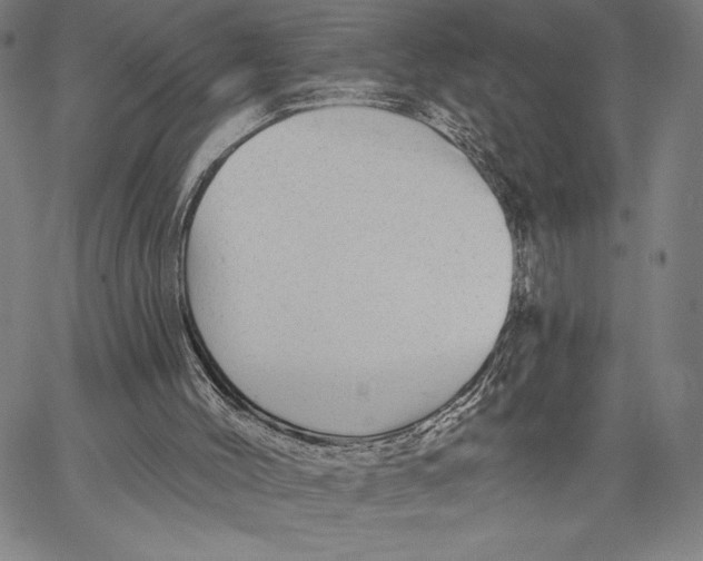 X0000067370004200604211554