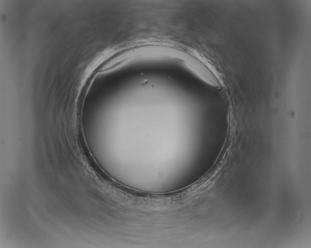 X0000067370008200604211554
