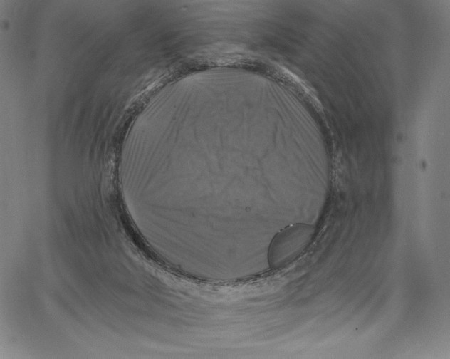 X0000067370018200604211554