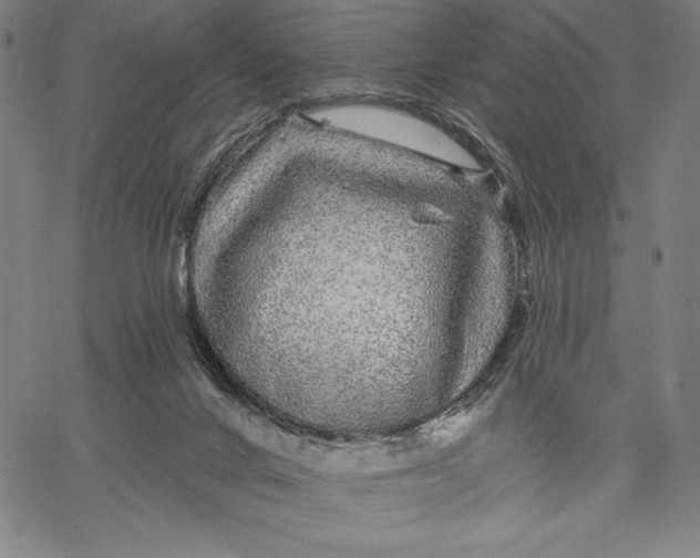 X0000067370024200604211554