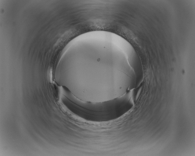 X0000067370027200604211554