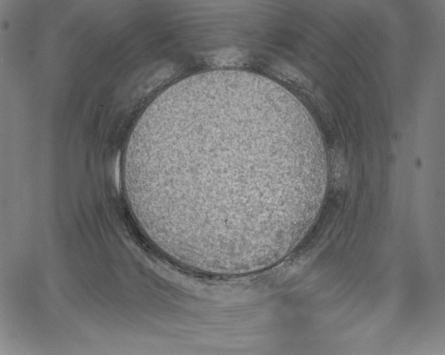 X0000067370028200604211554