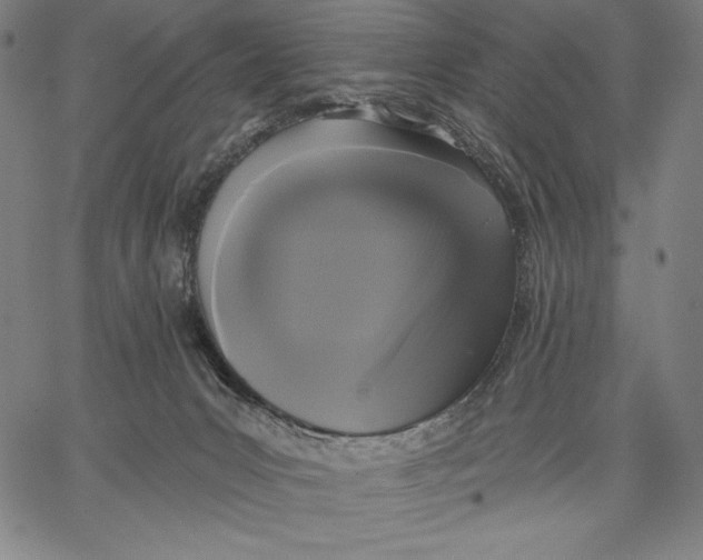 X0000067370031200604211554
