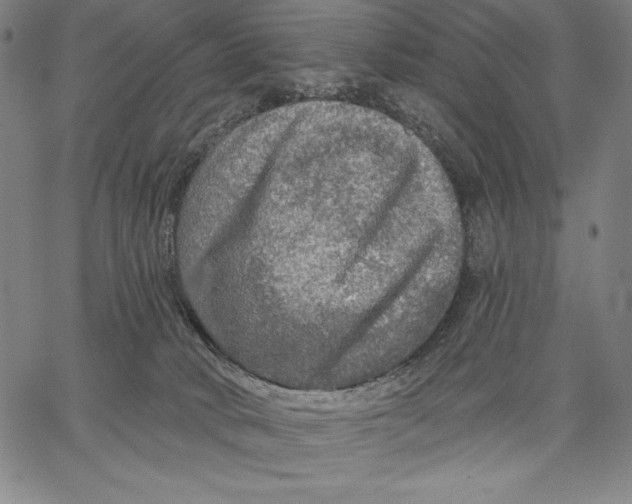 X0000067370034200604211553