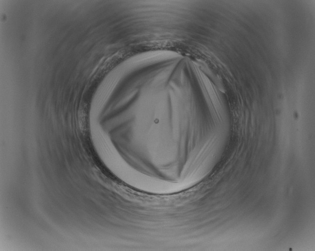 X0000067370035200604211553