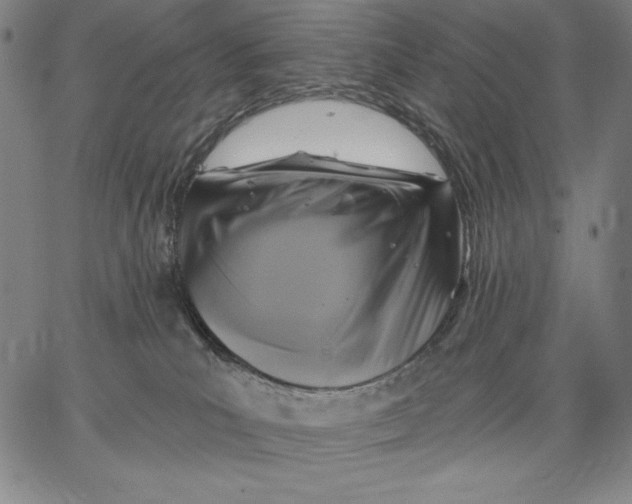 X0000067370039200604211553
