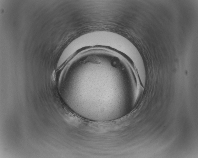 X0000067370041200604211553