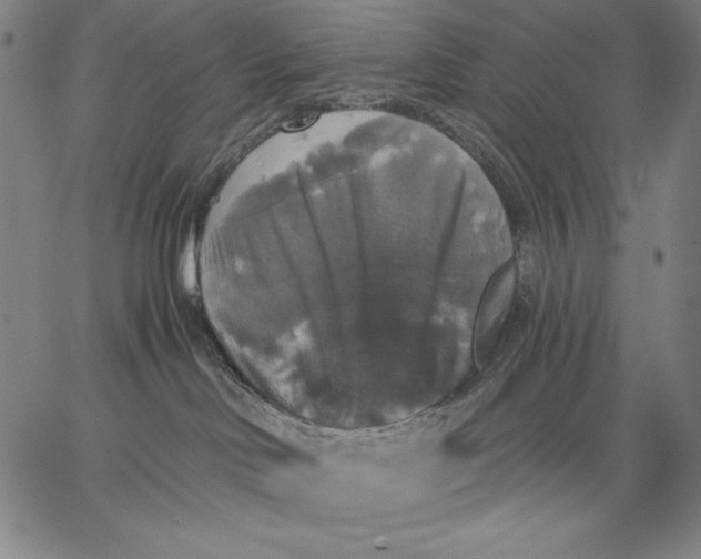 X0000067370046200604211553