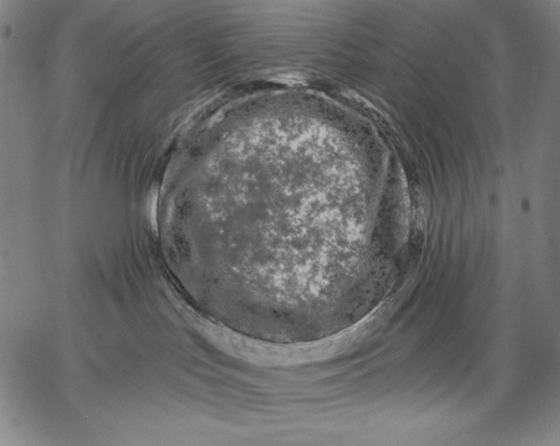X0000067370047200604211553