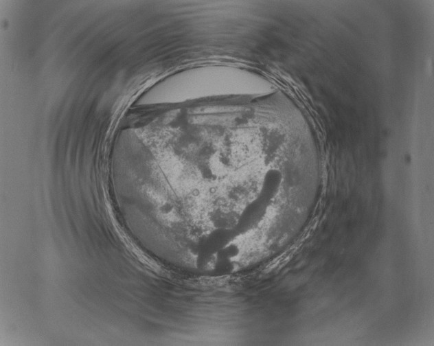 X0000067370049200604211552