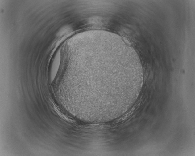 X0000067370050200604211552