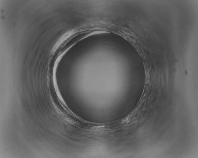 X0000067370054200604211553