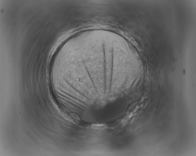 X0000067370055200604211553