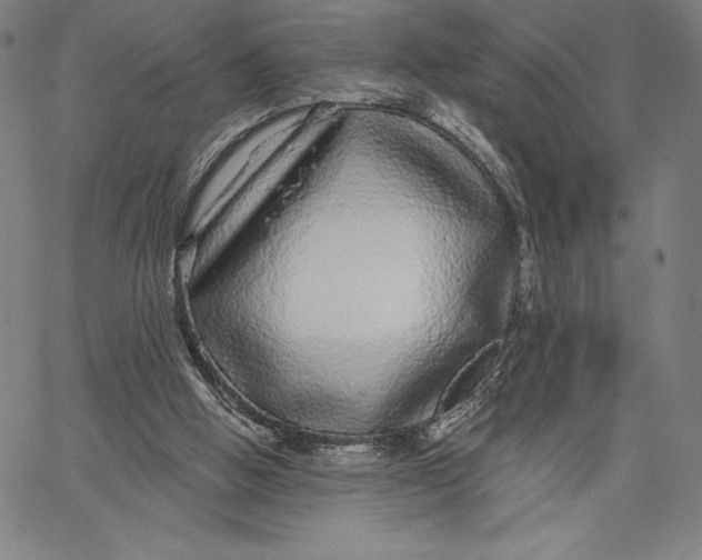 X0000067370058200604211553