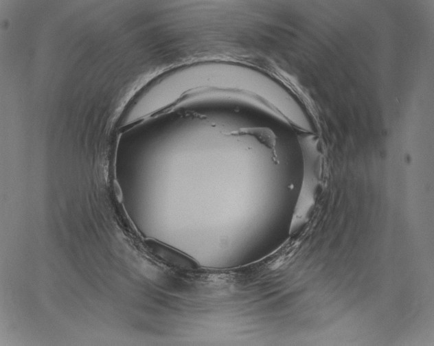 X0000067370060200604211553