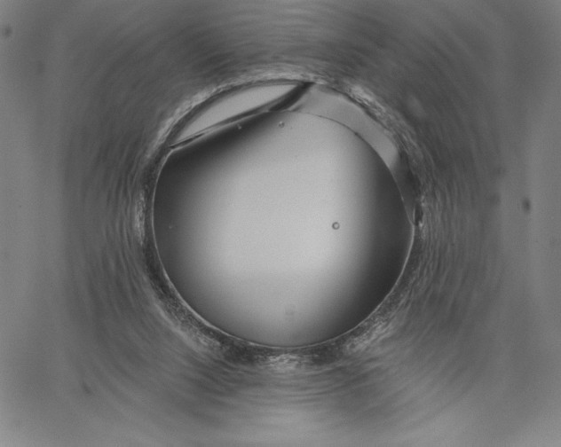 X0000067370064200604211553