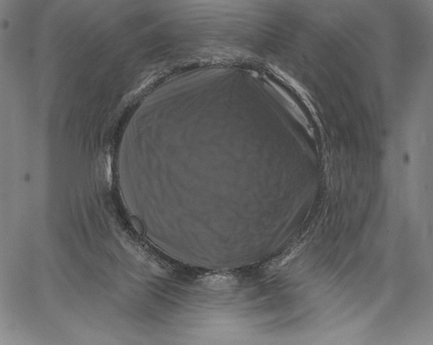 X0000067370067200604211553