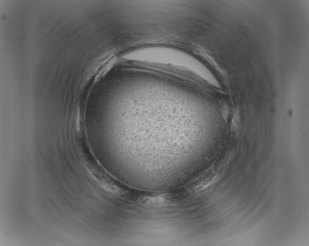 X0000067370068200604211553