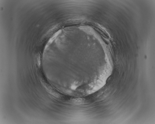 X0000067370069200604211553