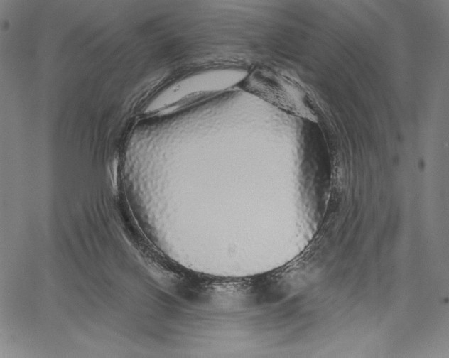 X0000067370070200604211553