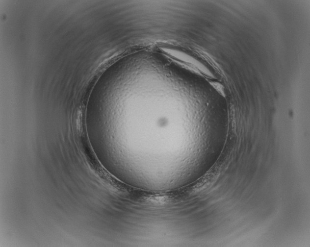 X0000067370071200604211553